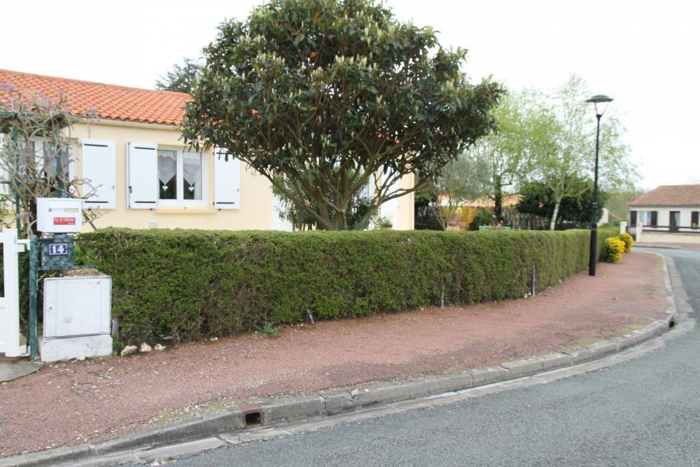 murette (1)